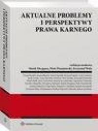 Aktualne problemy i perspektywy - okłakda ebooka