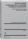 Efektywność zarządzania i nadzoru - okłakda ebooka