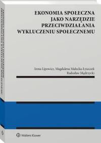 Ekonomia społeczna jako narzędzie - okłakda ebooka