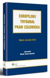 Europejski Trybunał Praw Człowieka. - okłakda ebooka