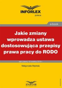 Jakie zmiany wprowadza ustawa dostosowująca - okłakda ebooka