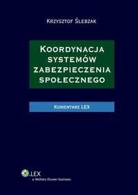Koordynacja systemów zabezpieczenia - okłakda ebooka