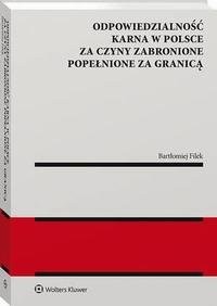 Odpowiedzialność karna w Polsce - okłakda ebooka