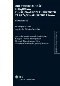 Odpowiedzialność majątkowa funkcjonariuszy - okłakda ebooka