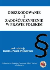 Odszkodowanie i zadośćuczynienie - okłakda ebooka
