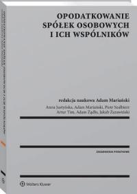 Opodatkowanie spółek osobowych - okłakda ebooka