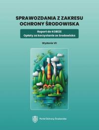 Sprawozdania z zakresu ochrony - okłakda ebooka