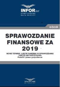 Sprawozdanie finansowe za 2019 - okłakda ebooka