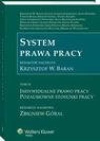 System prawa pracy. TOM IV. Indywidualne - okłakda ebooka