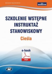 Szkolenie wstępne Instruktaż stanowiskowy - okłakda ebooka