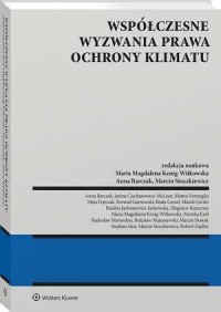 Współczesne wyzwania prawa ochrony - okłakda ebooka
