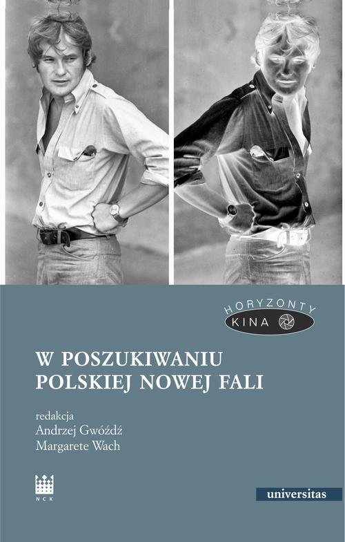 W poszukiwaniu polskiej Nowej Fali - okłakda ebooka