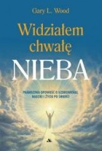 okładka książki - Widziałem chwałę Nieba