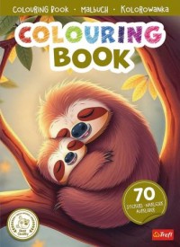 okładka książki - Leniwce. Kolorowanka z naklejkami - Wydawnictwo Trefl Books