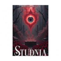 okładka książki - Studnia - Bogumiła Betula