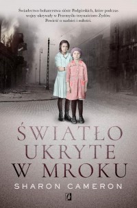 okłakda ebooka - Światło ukryte w mroku