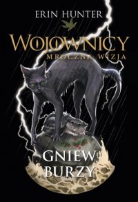 okładka książki - Gniew burzy. Wojownicy. Mroczna - Erin Hunter
