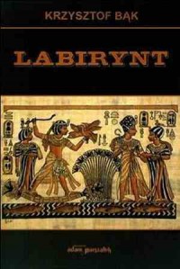 Labirynt - okładka książki