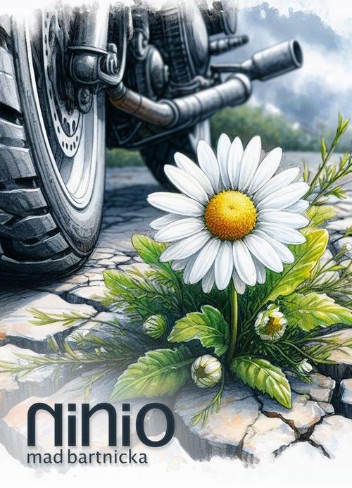 Ninio - okłakda ebooka