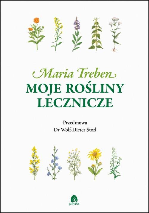 Moje rośliny lecznicze - okłakda ebooka