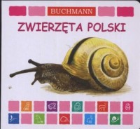 Zwierzęta Polski. książka kartonowa - okładka książki
