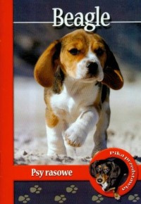 Beagle. Psy rasowe - okładka książki