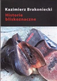 Historie bliskoznaczne - okładka książki