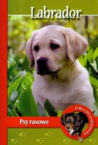 Labrador. Psy rasowe - okładka książki