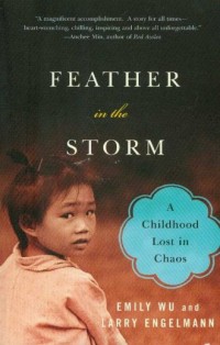 Feather in the Storm - okładka książki