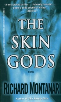 The Skin gods - okładka książki