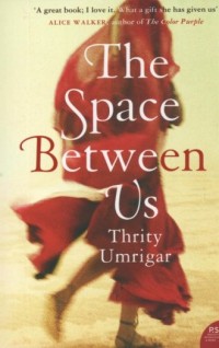 The Space Between Us - okładka książki