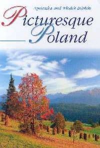 Picturesque Poland - okładka książki