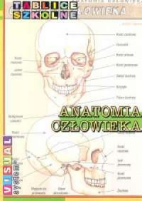 Tablice szkolne. Anatomia człowieka - okładka książki