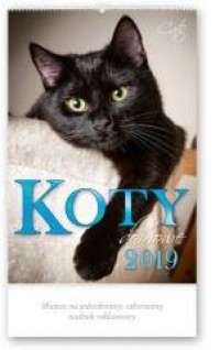 Kalendarz 2019 Reklmowy Koty domowe - okładka książki