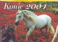 Kalendarz 2004 Konie - okładka książki