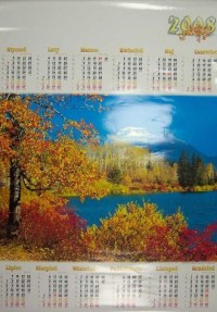 Kalendarz 2008 PL10 Jesień Planszowy - okładka książki