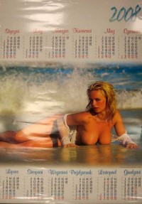 Kalendarz 2008 PL25 Sandra Planszowy - okładka książki