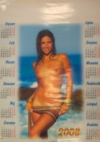 Kalendarz 2008 PL28 Laura Planszowy - okładka książki