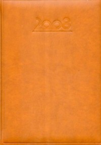 Kalendarz 2008 model B5 920 Menadżerski - okładka książki