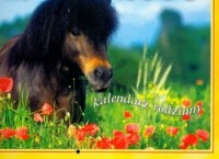 Kalendarz 2008 WL10 Konie rodzinny - okładka książki