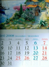 Kalendarz 2009 KT13 Łódka trójdzielny - okładka książki