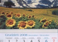 Kalendarz 2009 Słoneczniki - okładka książki