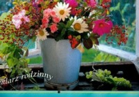 Kalendarz 2009 WL02 Kwiaty rodzinny - okładka książki