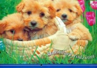 Kalendarz 2009 WL08 Psy rodzinny - okładka książki
