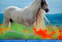 Kalendarz 2009 WL10 Konie rodzinny - okładka książki
