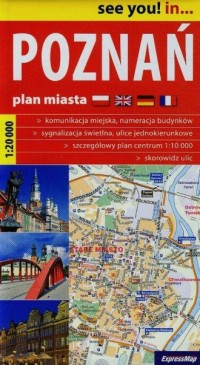 Poznań (plan miasta skaka 1: 20 - zdjęcie reprintu, mapy