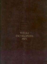 Wielka Encyklopedia PWN. Tom 10 - okładka książki