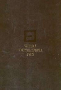 Wielka Encyklopedia PWN. Tom 5 - okładka książki
