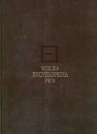 Wielka Encyklopedia PWN. Tom 6 - okładka książki