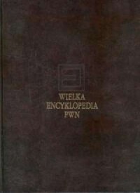 Wielka Encyklopedia PWN. Tom 7 - okładka książki
